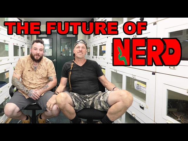 The Future Of NERD...