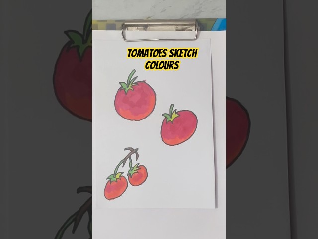 Easy way to draw tomatoes with sketch colours || #art #drawing