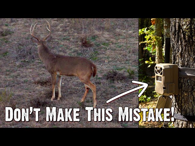 STOP Making This Pre-Rut Mistake!