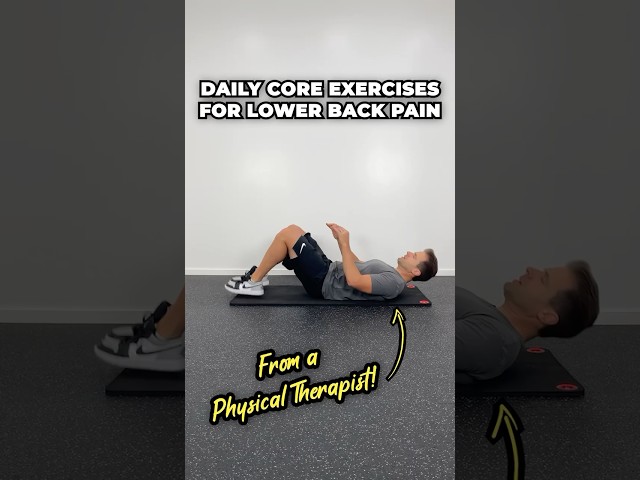 Daily Core Exercises For Lower Back Pain! [Treatment and Prevention]