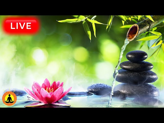 🔴 Soothing Ambient Spa Massage Music 24/7 🪷1125 - Deep Relaxation & Meditation Music | Spa Relax