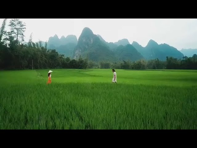 A Feast in the Fields: Discovering Vietnam's Village Life