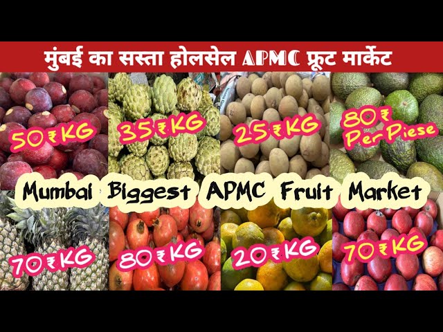 APMC Market Vashi | Vashi APMC Fruit Market | Mumbai Wholesale Fruit Market