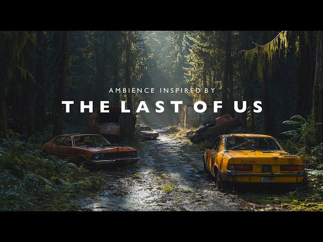 The Last of Us Inspired | Rainy Suspense Ambience for Deep Focus & Creative Work