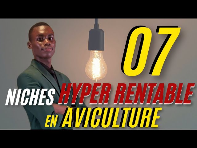 Comment 7 niches avicoles très rentables rendent les gens riches !