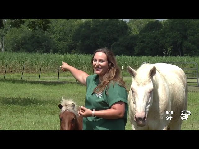 Parks woman wins at 2024 Louisiana Farm Bureau Convention