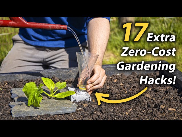 17 MORE Brilliant FREE Vegetable Gardening Hacks | Productive and Easy Garden Hacks