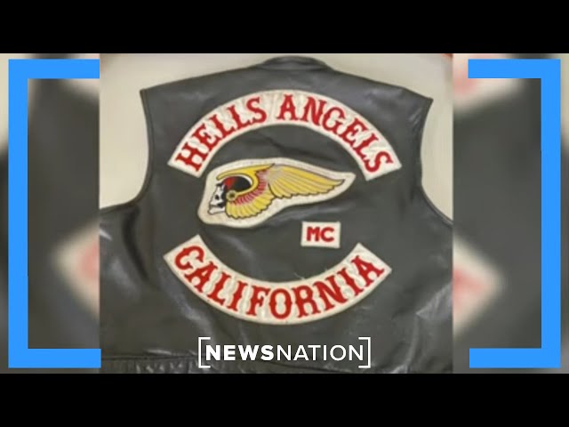 Bikers busted: Former 'Hells Angels' president speaks out amid charges | Banfield