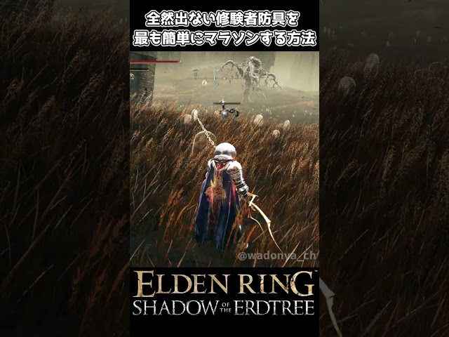 【エルデンリングDLC】修験者防具を最も簡単にマラソンする方法 #eldenring #エルデンリング