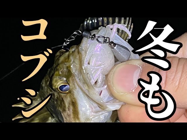 この時期の根魚を安定して釣っているリグを紹介します。【コブシ】