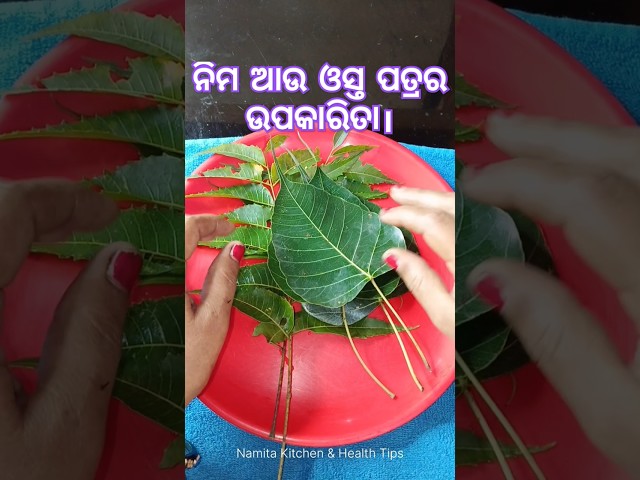 ନିମ ଆଉ ଓସ୍ତ ପତ୍ରର ଉପକାରିତା / #healthtips / #shorts / #odiavlog / #minivlog