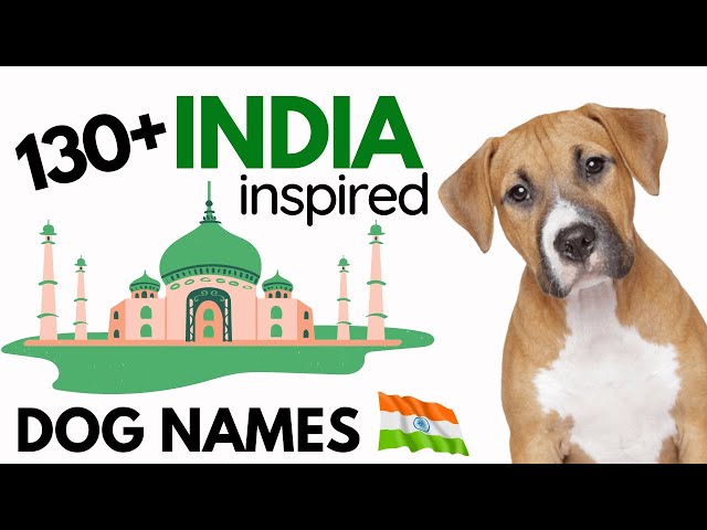 Top 130+ INDIA Inspired Dog Names: Creative and Unique Names