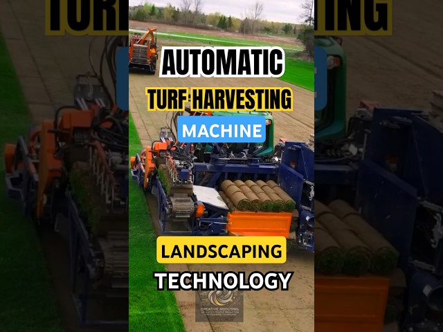 Automatic Turf Harvesting Machine: Precision Cutting for Sports Fields and Landscaping