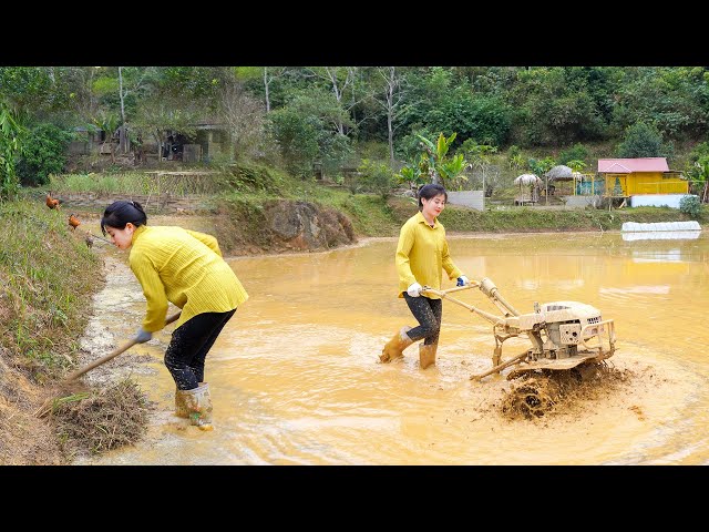 Use Small Plows To Improve The Soil In Preparation For The New Rice Crop. My Bushcraft / Nhat