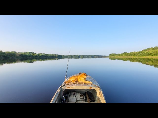 Tohatsu 9.8+Казанка 4 года использования. #motorboat #boat #tohatsu #tohatsu9.8 #fishing #Тохатсу9.8