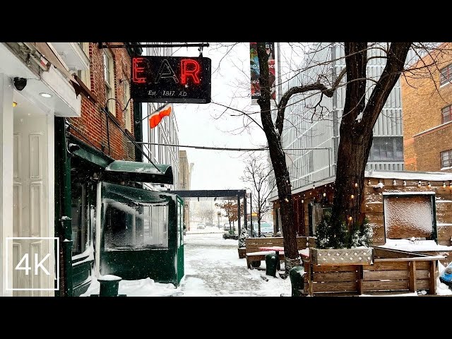 Exploring NYC During a Nor'Easter Snow Storm Blizzard | 4K New York City Winter Walking Tour