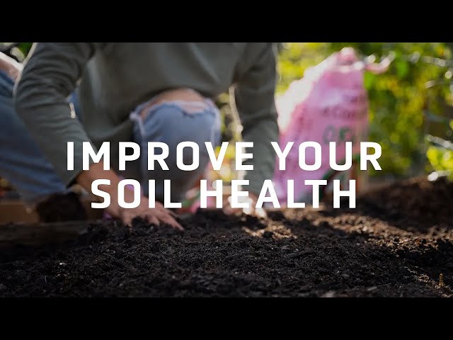 Tips for Improving Your Soil Health | Long Term Soil Investment