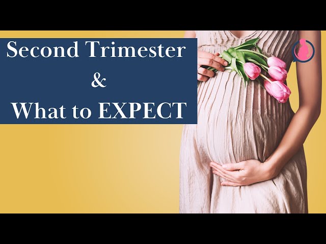 Second Trimester of Pregnancy And What To Expect: Women's Wellness Guide.