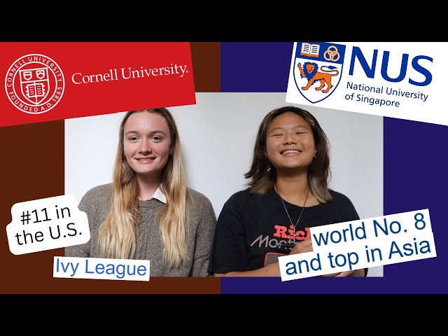 why we left world top universities (cornell and nus)