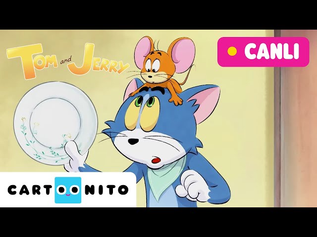 🔴 CANLI 🔴 TOM VE JERRY MACERALARI | @CartoonitoTurkiye