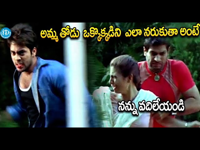 ఒక్కొక్కడిని  ఎలా నరుకుతా అంటే ..? Telugu Movie Ultimate Interesting Scene | idreamrajanaasiricilla