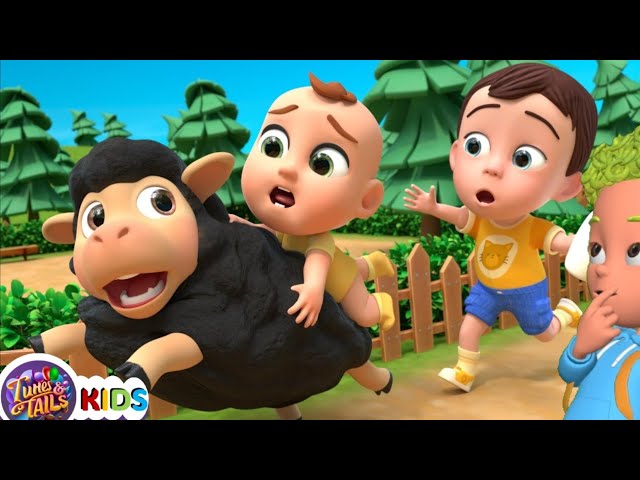 Baa Baa Black Sheep, Don’t Run! | Lalafun Nursery Rhymes & Kids Songs ⭐Review⭐