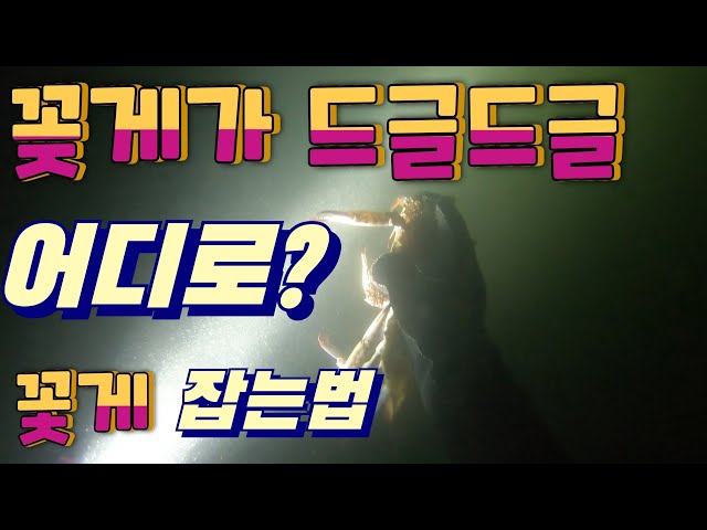 꽃게가 드글드글 어디로가면? 초보자도 꽃게잡는 팁 Flower crab