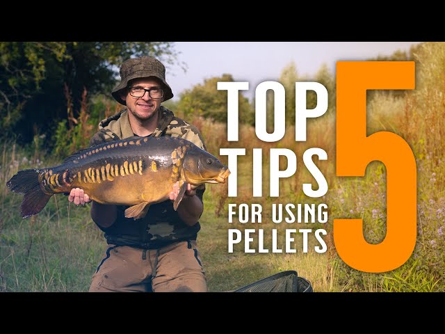 Top 5 Tips For Using Pellets with Neil Spooner! Catch More Carp! Rigs! Mainline Baits Carp Fishing