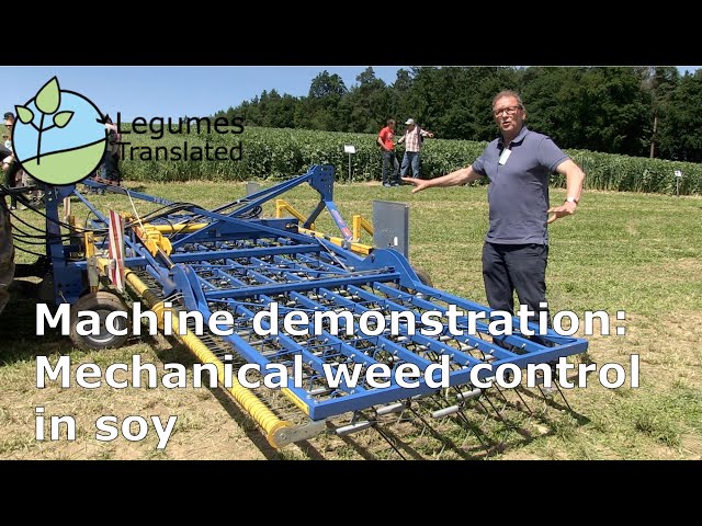 Machine demonstration: Mechanical weeding in soy