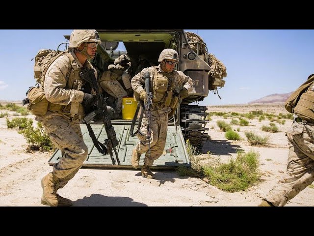 Action in the Swan Landing Zone: US Marines Practice Helicopter Support