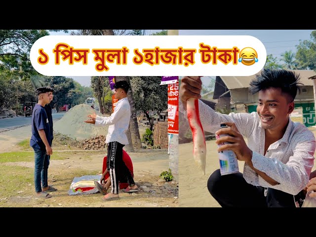 লাল মুলা ১ হাজার টাকা পিস😂 || Bangla Funny Video 😂|| Aminur Islam Avro || Avro Official