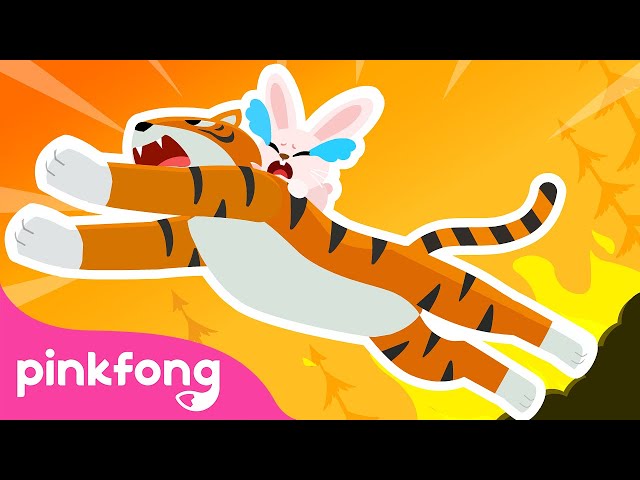 King of the Animals | Storytime with Pinkfong and Animal Friends | Cartoon | Pinkfong for Kids