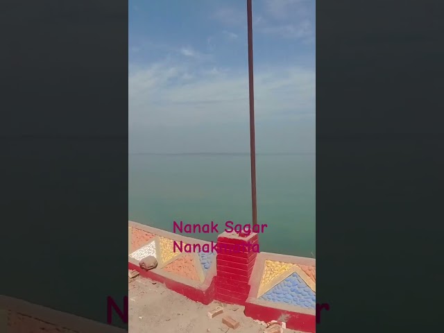 Nanakmatta Sahib  Nanak Sagar Sarover,#shorts