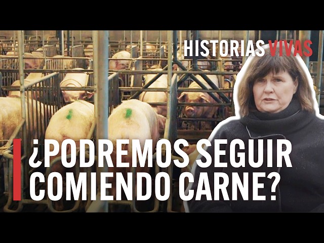 Descubre la cara oculta de la industria de la carne y la agricultura | Historias Vivas |Documental