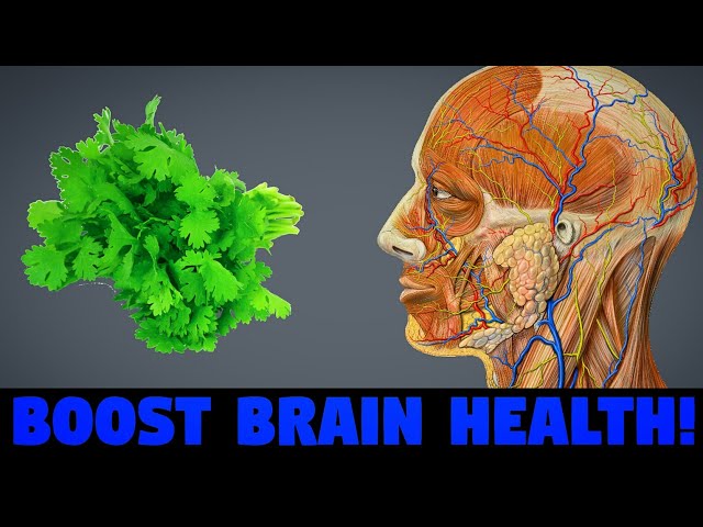 10 Most Powerful Herbs For Brain Health | Boost Mental Health