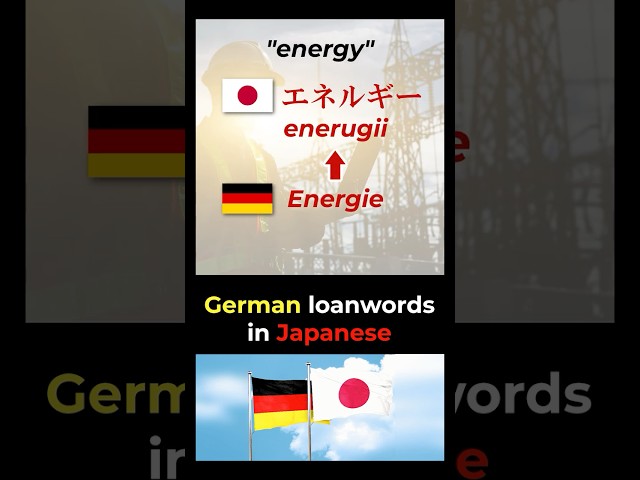 German loanwords in Japanese