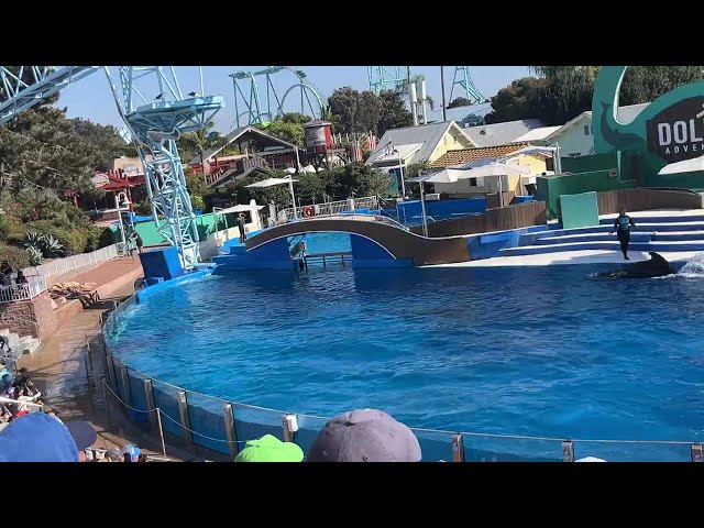 SeaWorld San Diego Dolphin Adventures (No Copyright)