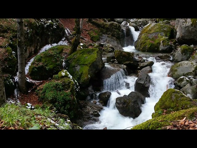 "Tranquil 4K Waterfall Scenes | Relaxing Nature Sounds for Stress Relief"