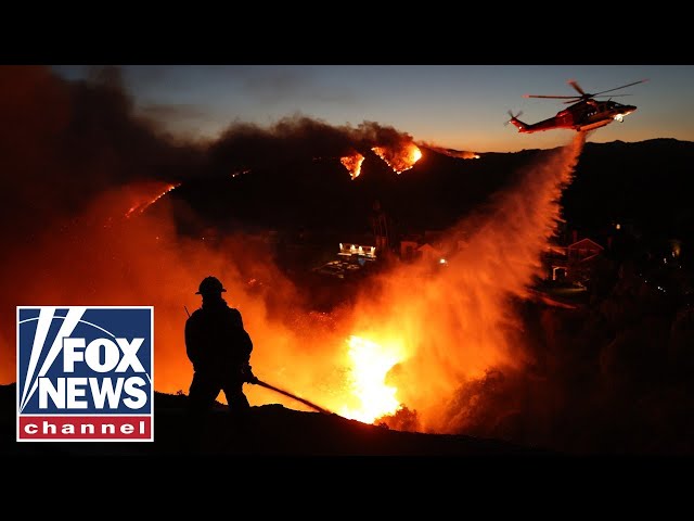 Palisades fire most destructive in Los Angeles history: Report