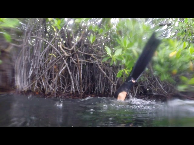 Freediving in Mexico: Casa Cenote on a rainy day with Rodolfo Escalante