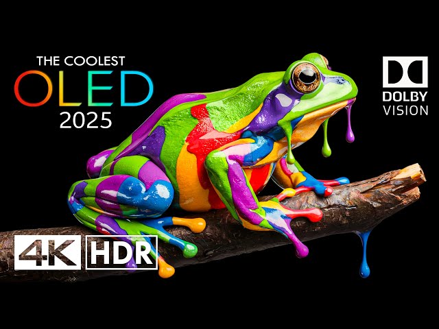 REAL 4K HDR 120 FPS Dolby Vision - 4K Video ULTRA HD