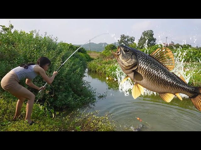 The owner of the fish pond threatened to refund the full amount if he could not catch the big cruci