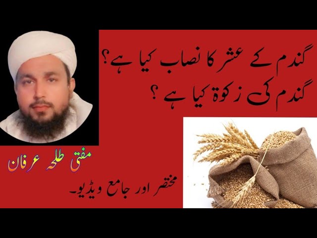 Kitne Mann Anaaj Par Ushar Wajib Hota Hai? By Mufti Talha Irfan