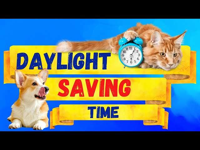 Daylight Saving Time for kids