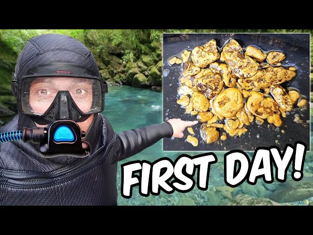 Hookah Diver Discovers Pile Of GOLD In New Zealand!