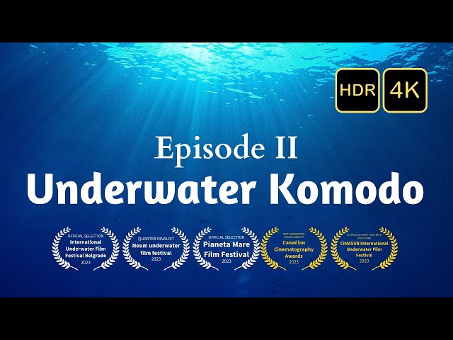 Underwater Komodo II - The Majestic City - HDR 4K