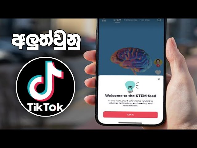 Tiktok Stem New Tab | Tiktok New Update 2024 Sinhala | Tiktok New Update 2025 Sinhala