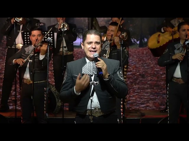 MARIACHI NUEVO TECALITLÁN / TÚ DE QUÉ VAS