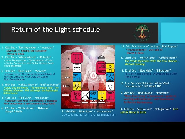 Energetic Review of 2023 -' The Return of the Light' with Lou Matson & Plant Alchemist Davyd Farrell