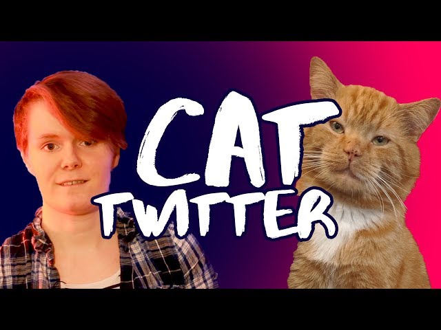 Cat Twitter | ellenfromnowon